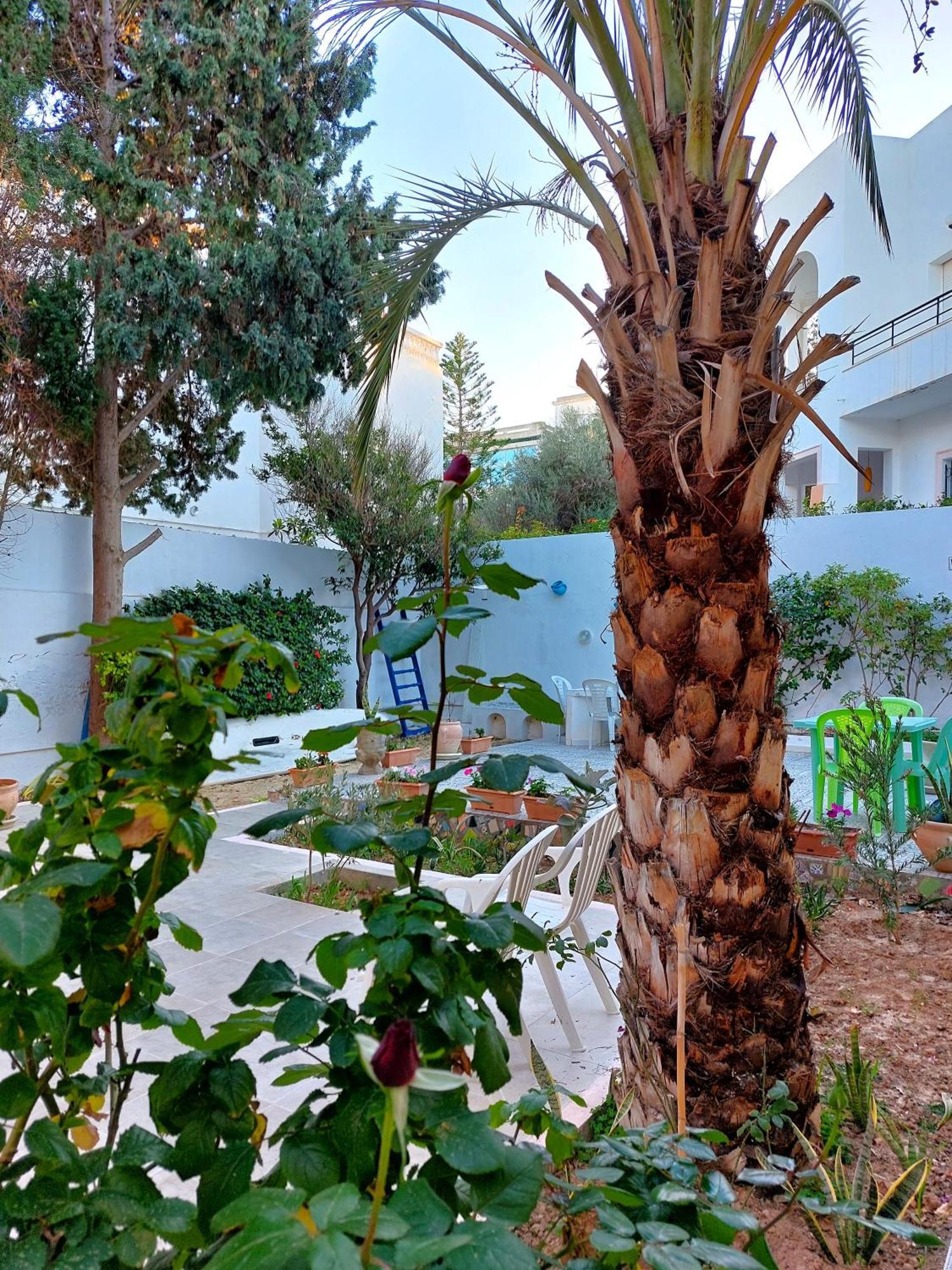 Villa Azaiiza Σούσα Εξωτερικό φωτογραφία