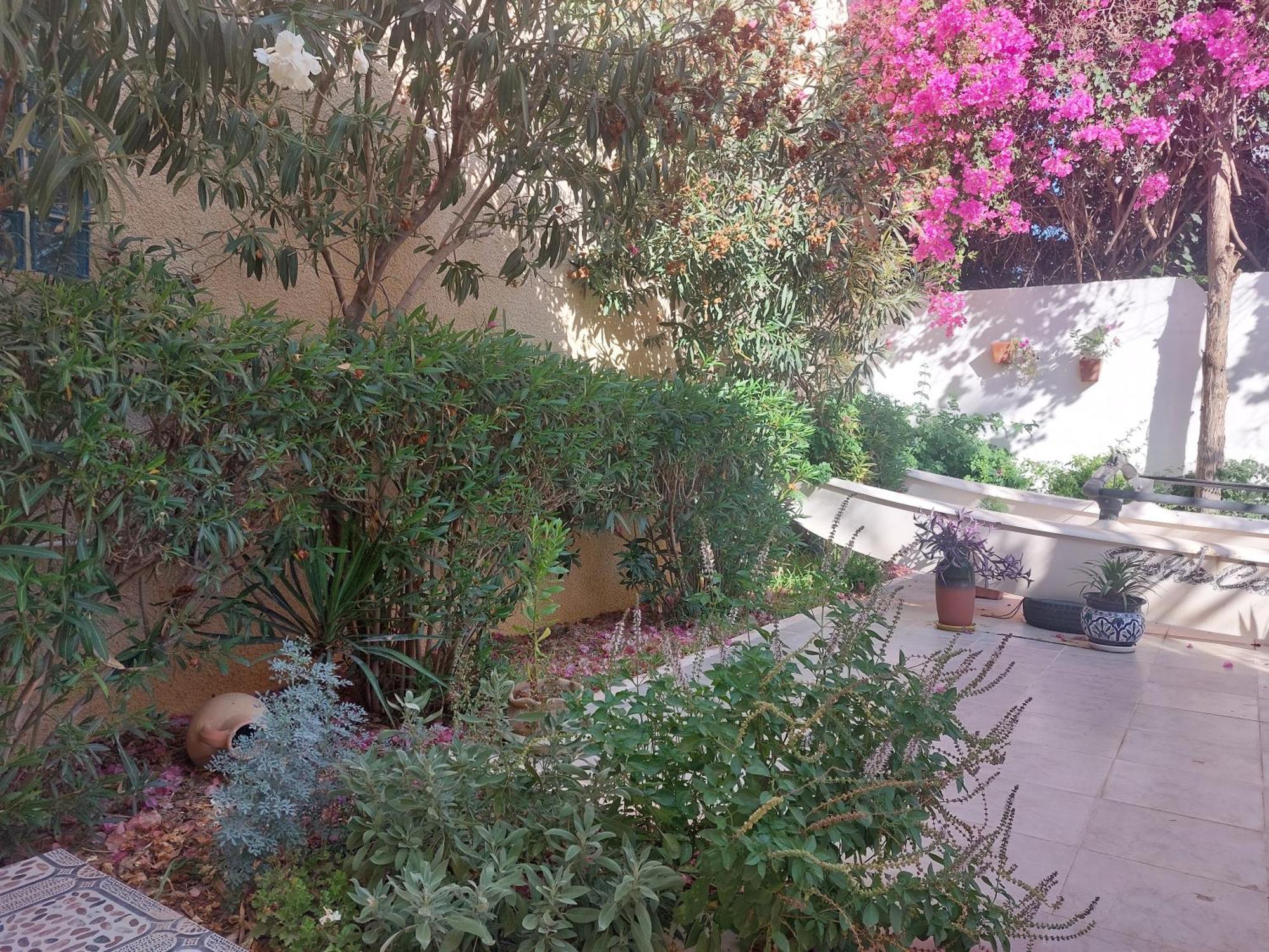 Villa Azaiiza Σούσα Εξωτερικό φωτογραφία