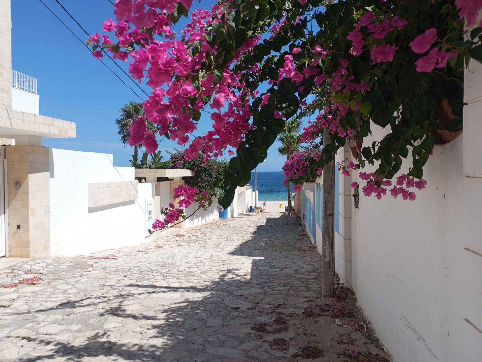 Villa Azaiiza Σούσα Εξωτερικό φωτογραφία